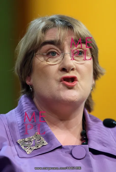 : Baroness Brinton : Baroness Brinton