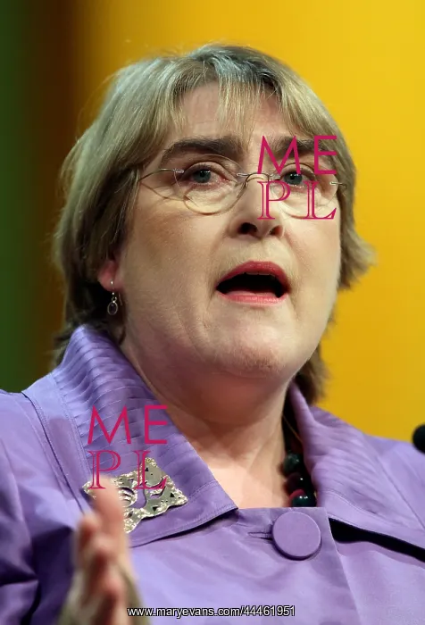 : Baroness Brinton : Baroness Brinton