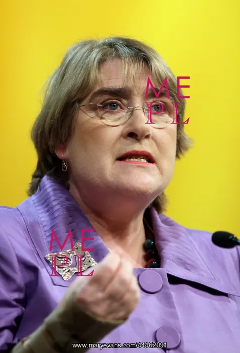 : Baroness Brinton : Baroness Brinton