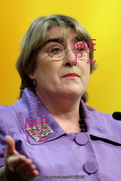  : Baroness Brinton