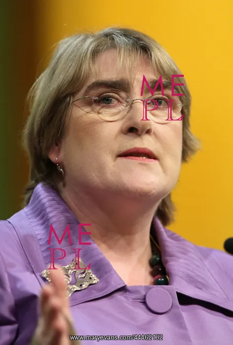 : Baroness Brinton : Baroness Brinton