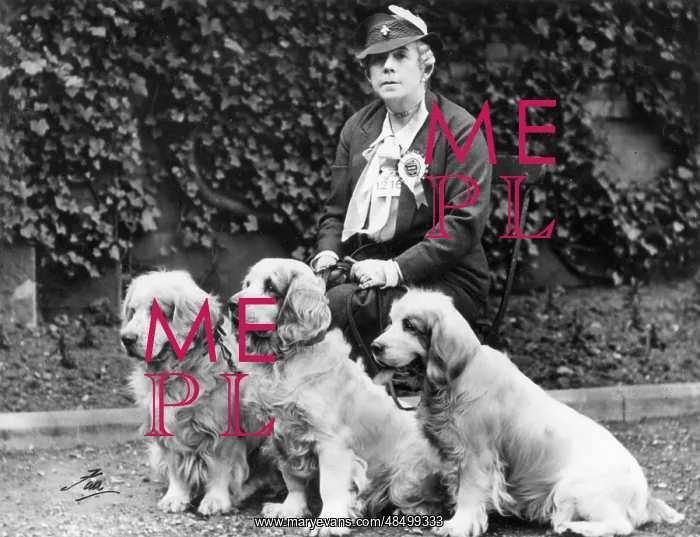: BARONESS BURTONS DOGS : BARONESS BURTONS DOGS