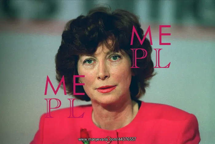  : Baroness Patricia Hollis