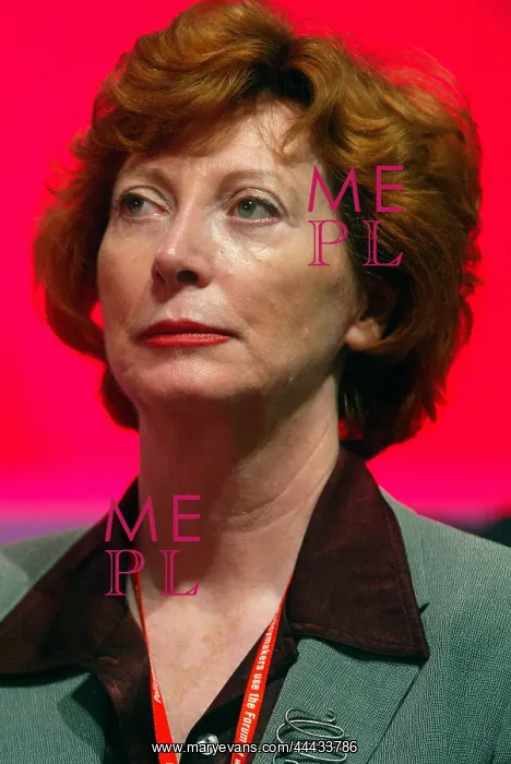 : Baroness Patricia Hollis : Baroness Patricia Hollis