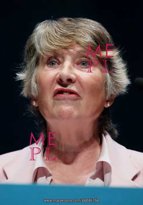 : Baroness Walmsley : Baroness Walmsley
