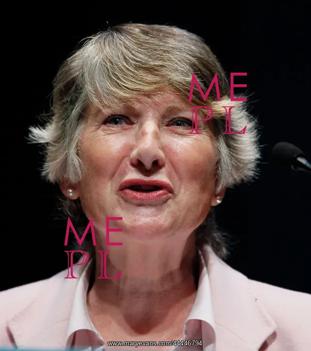 : Baroness Walmsley : Baroness Walmsley