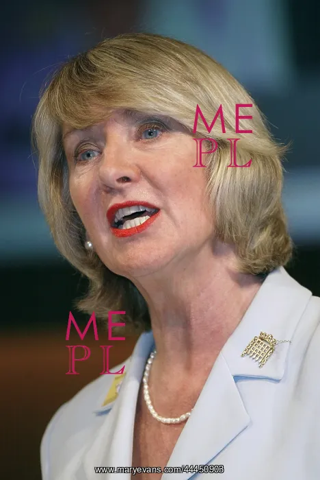 : Baroness Walmsley : Baroness Walmsley
