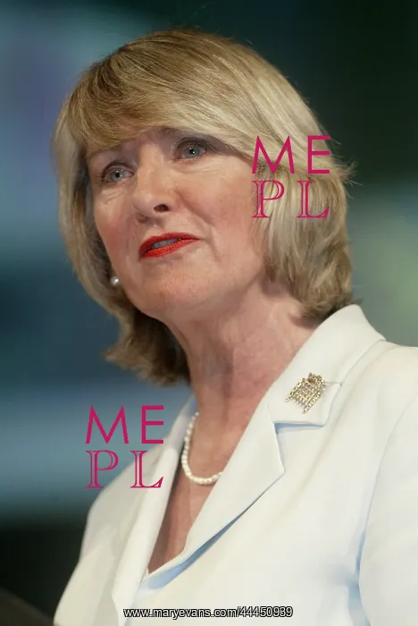 : Baroness Walmsley : Baroness Walmsley