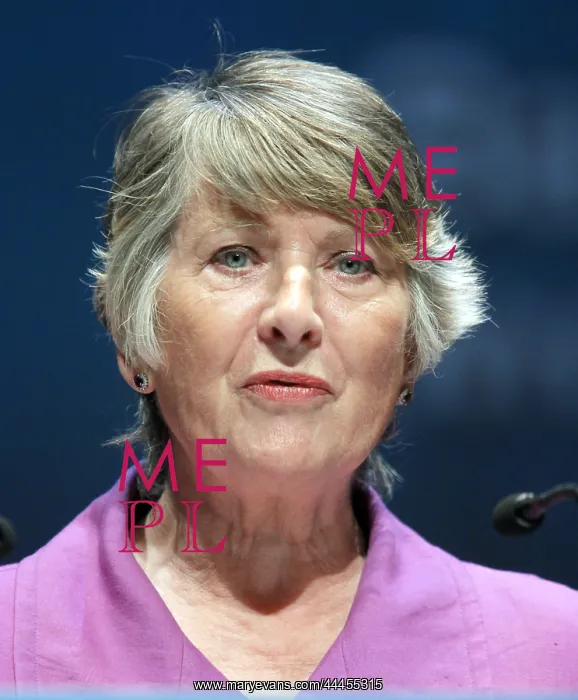 : Baroness Walmsley : Baroness Walmsley