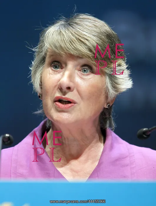 : Baroness Walmsley : Baroness Walmsley