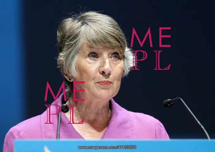 : Baroness Walmsley : Baroness Walmsley