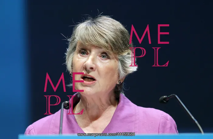 : Baroness Walmsley : Baroness Walmsley