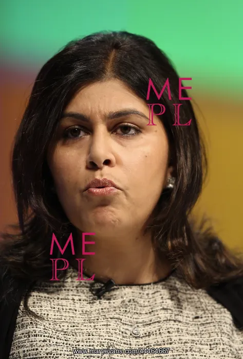: Baroness Warsi : Baroness Warsi