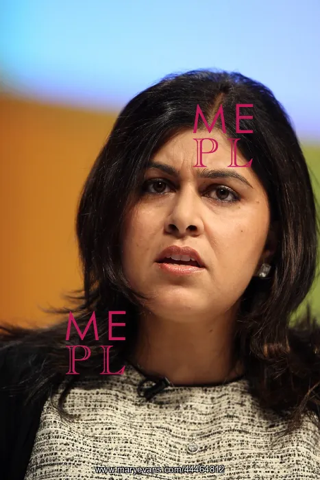 : Baroness Warsi : Baroness Warsi