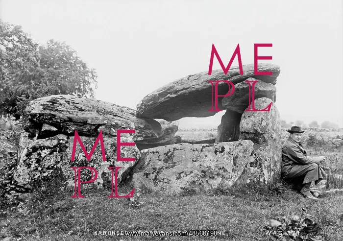 : Baronscourt Cromlech, Co Tyrone : Baronscourt Cromlech, Co Tyrone
