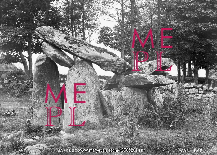 : Baronscourt Cromlech, Co Tyrone : Baronscourt Cromlech, Co Tyrone