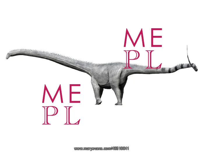 : Barosaurus dinosaur : Barosaurus dinosaur