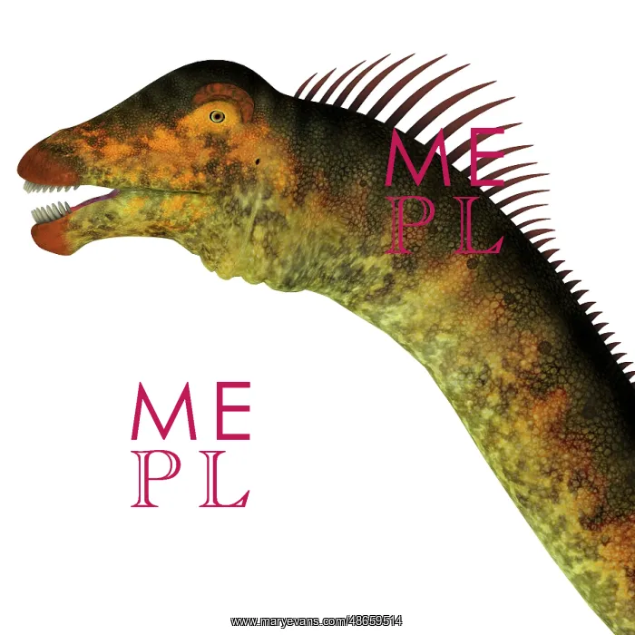 : Barosaurus dinosaur head : Barosaurus dinosaur head