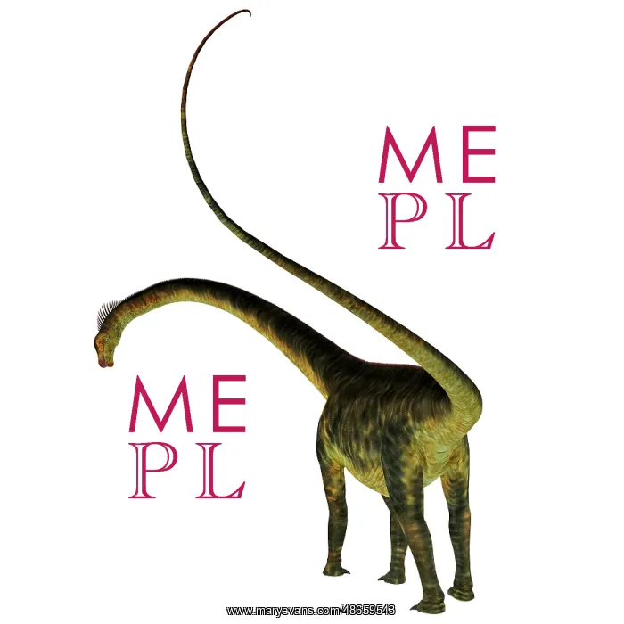 : Barosaurus dinosaur, rear view of tail : Barosaurus dinosaur, rear view of tail