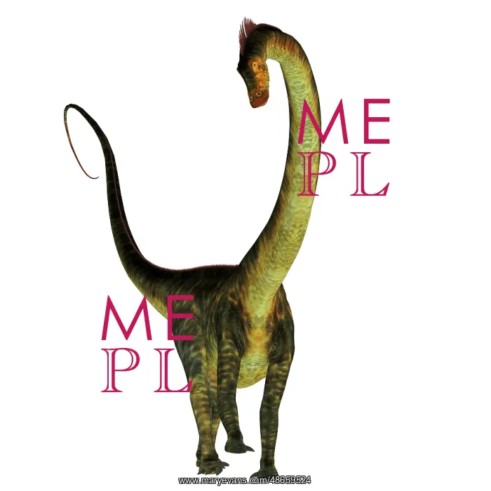 : Barosaurus dinosaur on white background : Barosaurus dinosaur on white background