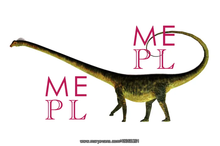 : Barosaurus dinosaur on white background : Barosaurus dinosaur on white background