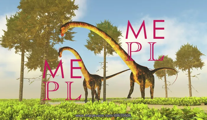 : Barosaurus dinosaurs munching on monkey puzzle trees : Barosaurus dinosaurs munching on monkey puzzle trees