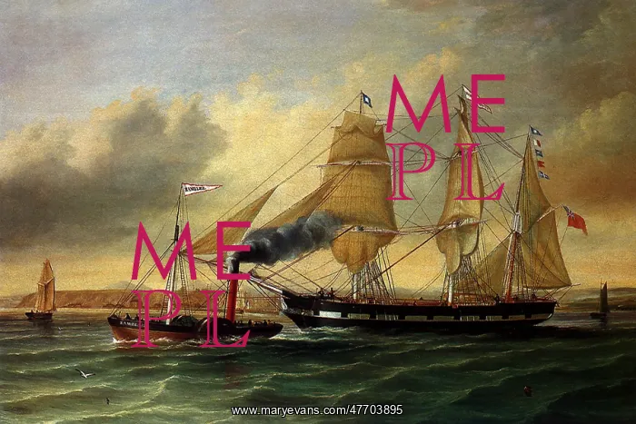  : The Barque Maryanne Johnstone
