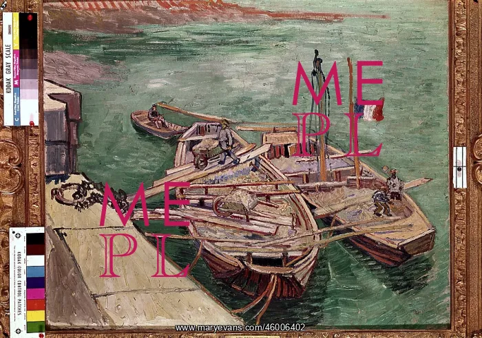 : barques on Rhone river : barques on Rhone river