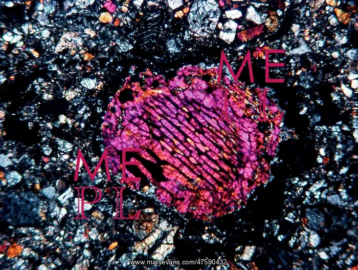 : Barred olivine chondrule : Barred olivine chondrule