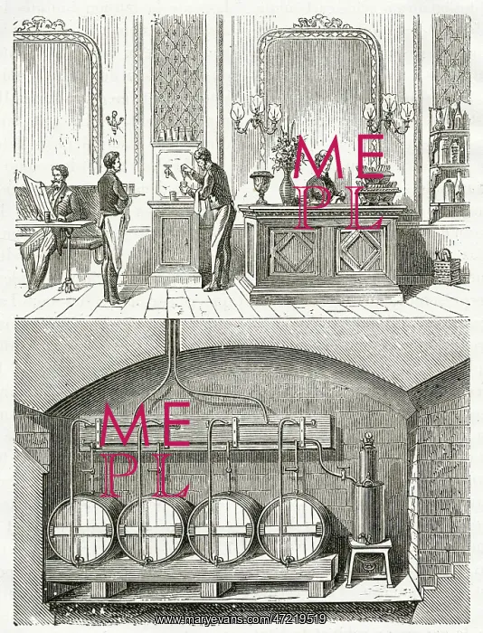 : FROM BARREL TO BAR : FROM BARREL TO BAR