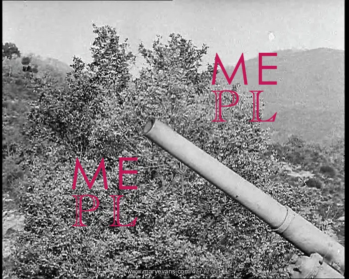 : The Barrell of an American Artillery Gun : The Barrell of an American Artillery Gun