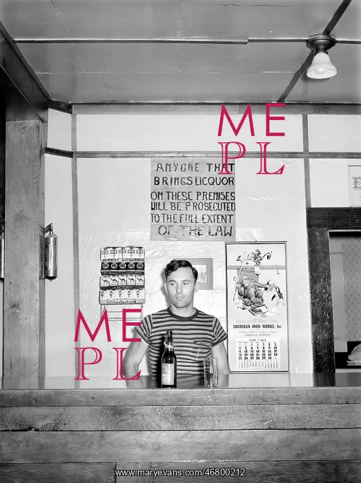 : Bartender- food and drink : Bartender- food and drink