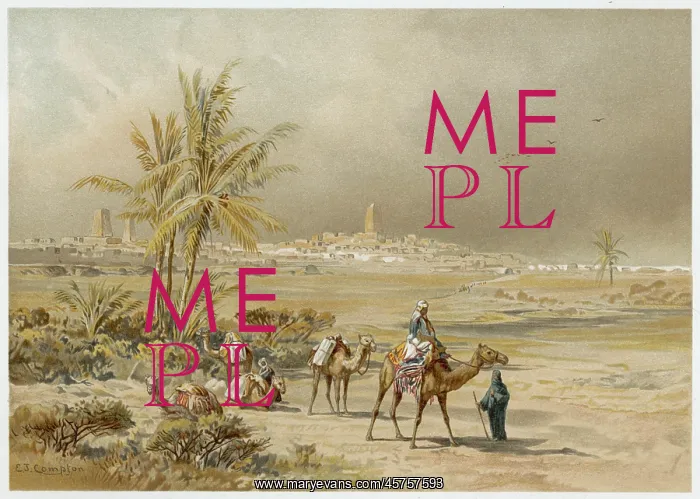 : BARTH / TIMBUKTU / CAMEL : BARTH / TIMBUKTU / CAMEL