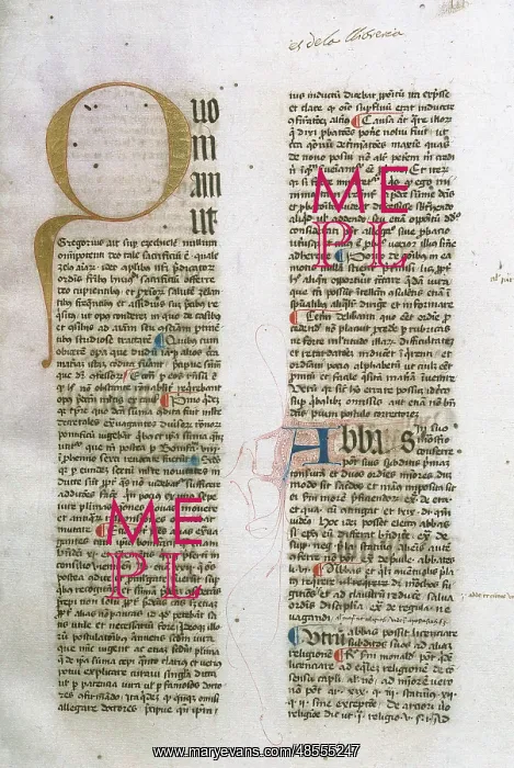 : Bartholomew Rinonico (1338-1401). Summa de Casibus Conscient : Bartholomew Rinonico (1338-1401). Summa de Casibus Conscient
