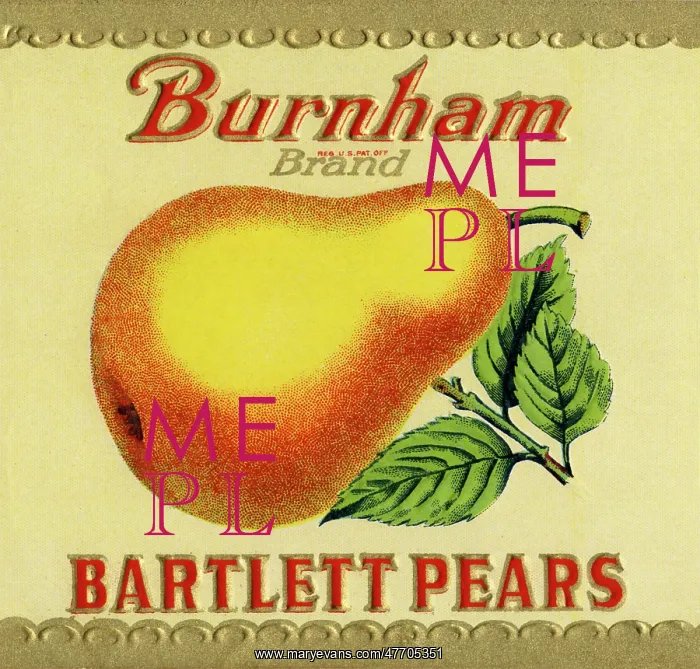  : Bartlett Pear Label