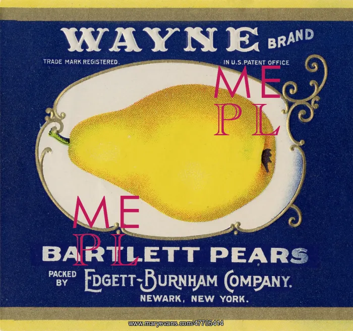  : Bartlett Pear Label