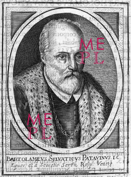: BARTOLOMEO SYLVATICUS : BARTOLOMEO SYLVATICUS