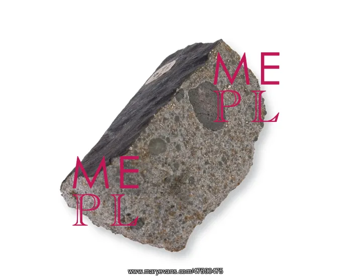 : The Barwell meteorite : The Barwell meteorite