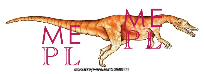 : Baryonyx. The Baryonyx which lived during the Lower Cretaceous was a bipedal : Baryonyx. The Baryonyx which lived during the Lower Cretaceous was a bipedal