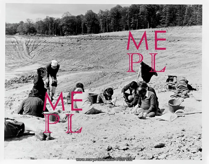 : Baryonyx excavation, 1983 : Baryonyx excavation, 1983