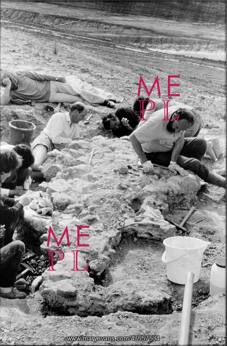 : Baryonyx excavation, 1983 : Baryonyx excavation, 1983