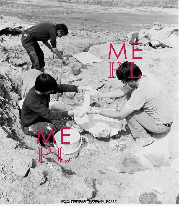 : Baryonyx excavation, 1983 : Baryonyx excavation, 1983