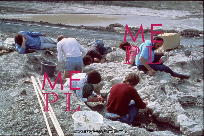 : Baryonyx excavations : Baryonyx excavations