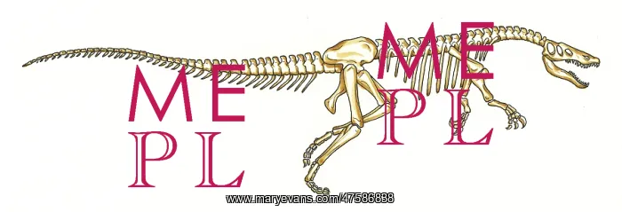 : Baryonyx skeleton : Baryonyx skeleton