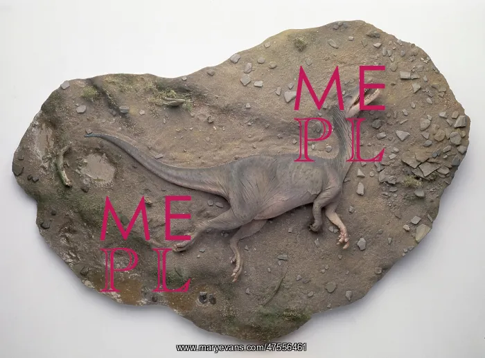 : Baryonyx walkeri : Baryonyx walkeri