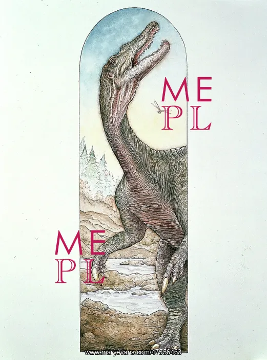 : Baryonyx walkeri : Baryonyx walkeri