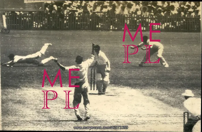 : Baseball to be Categorized - Baseball Cards : Baseball to be Categorized - Baseball Cards