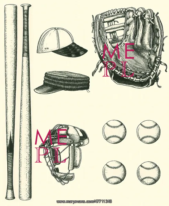  : Baseball Equipment