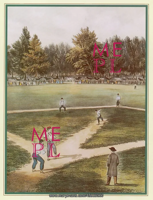 : Baseball in a Field : Baseball in a Field