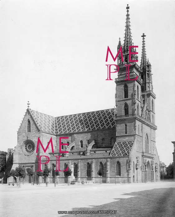 : The Basel Muenster : The Basel Muenster